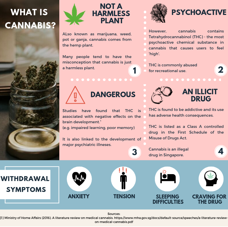 Harms of Cannabis Use