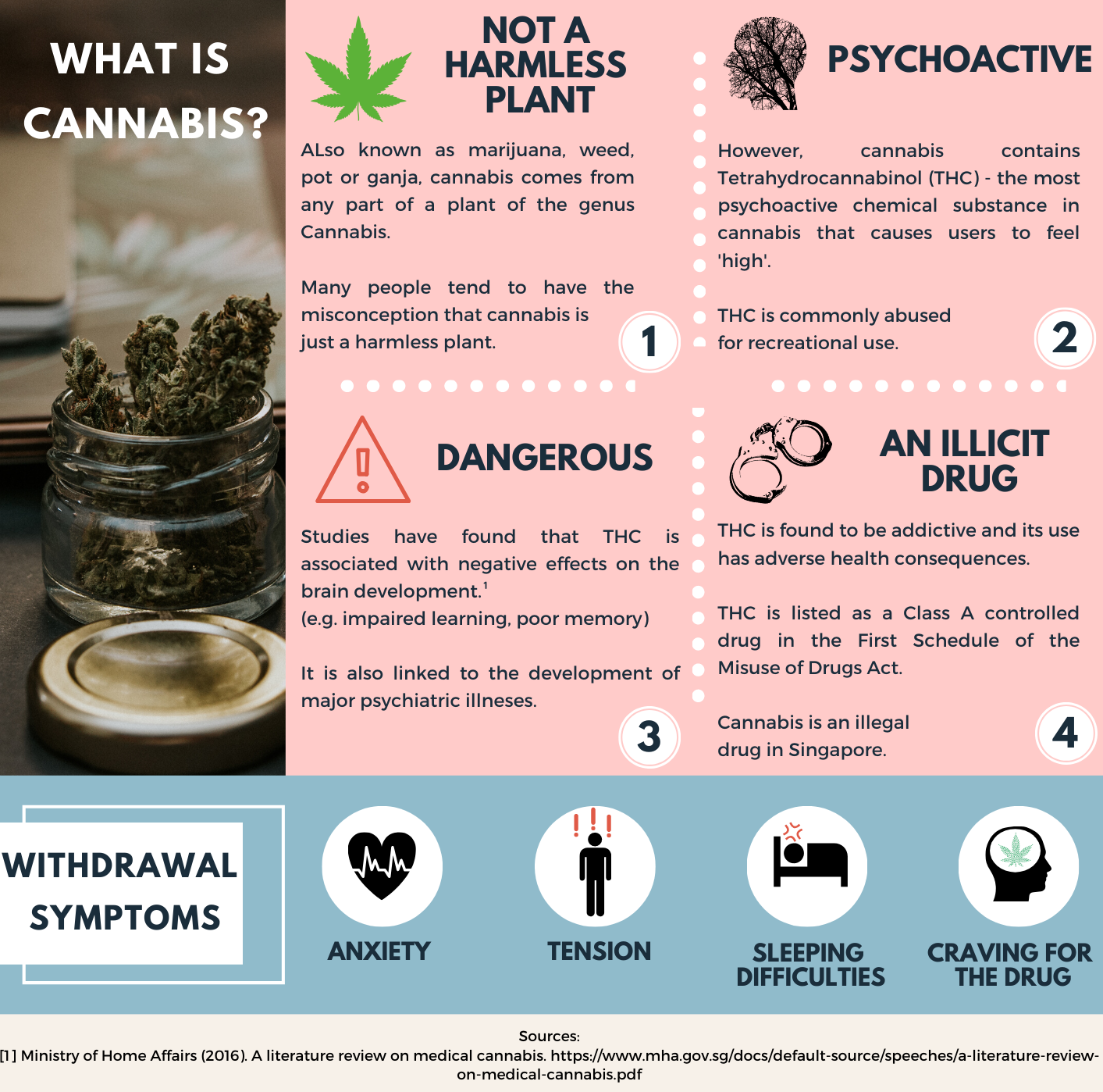 Harms of Cannabis Use