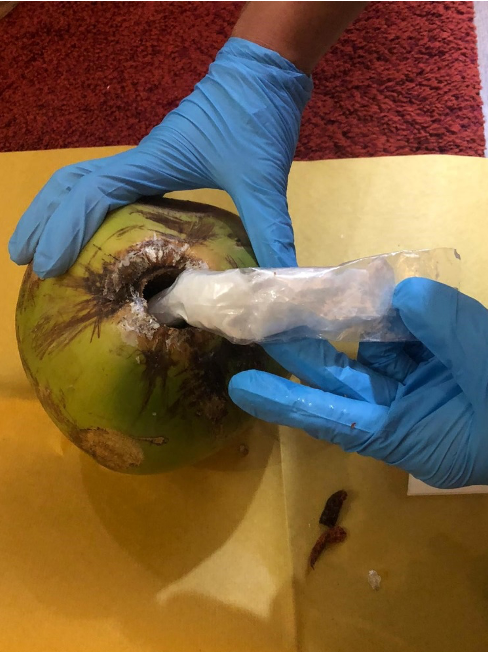 DRUGS HIDDEN INSIDE COCONUT, 3 ARRESTED FOR SUSPECTED DRUG ACTIVITIES 